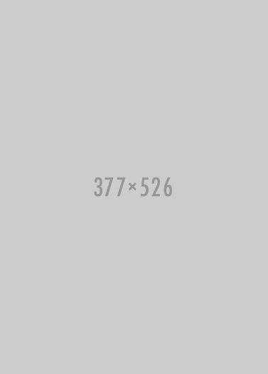 ipad-377x526
